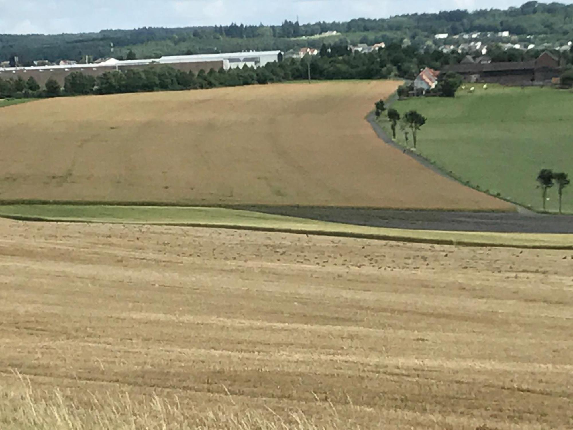 Auf Dem Bauernhof In Hof Kleeberg I Man Kann Ein Mit Bad Zubuchen * Hachenburg